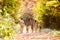 Beautiful young family on a walk in autumn forest.