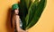 Beautiful young fashion girl with perfect skin in green hat hold tropical banana leaf in hands and covers