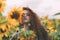 Beautiful young girl with red wavy hair and freckles in stripped colourful dress enjoying nature on the field of sunflowers.