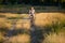 Beautiful young girl riding bicycle in field at sunset