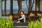 Beautiful young girl sits on the veranda the bungalow near the ocean beach in Bali island Indonesia