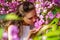 Beautiful young girl sniffs pink flowers, blooming sakura in spring garden.