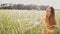 Beautiful young girl among the tall green spikelets of wheat in the field. She collects spikelets in bundles. The girl