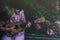 Beautiful young girl with ukulele