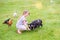 Beautiful young girl on vacation feeding pigs