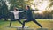 Beautiful young ladies are standing in Half Moon pose Ardha Chandrasana during pair yoga class in park. Healthy