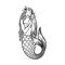 Beautiful young mermaid with lilies with the sea shell and pearl. Sea underwater fantasy creature with tail and