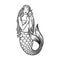 Beautiful young mermaid with the sea shell and pearl. Sea underwater fantasy creature with tail and decorative long hair