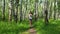 Beautiful young model girl training runs in birch forest, slow motion