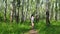 Beautiful young model girl training runs in birch forest, slow motion