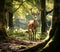 Beautiful young whitetail deer (cervus elaphus) in the forest