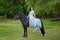 Beautiful young woman in beautiful dress on black horse in nature