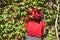 Beautiful young woman with a bouquet of flowers near a green wall of bushes. Floral business. Copy space