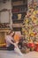 Beautiful young woman in a Christmas interior. Dressing a Christmas tree.