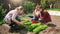 Beautiful young woman digging and planting in garden with her children