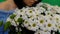 Beautiful, young woman enjoys a bouquet of flowers. White camomiles. Love, offer of the hand and heart. Green background