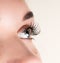 Beautiful young woman eyelash extension. Woman eye with long eyelashes. Beauty salon concept