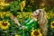 Beautiful young woman in a field of sunflowers. Happy female model is holding sunflower in Sunflowers field. Natural beauty