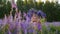 Beautiful young woman in flower wreath on meadow at springtime