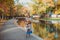 Beautiful young woman with glasses walking by the lake in the autumn Park