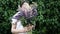 Beautiful young woman holding a bouquet of flowers in front of myself