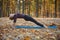Beautiful young woman practices yoga asana Purvottanasana Upward Plank Pose on the wooden deck in the autumn park.
