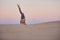 Beautiful young woman practices yoga asana Urdhva Prasarita Ekapadasana in the desert at sunset