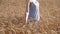 Beautiful young woman in ripe wheat field at sunset