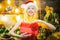 Beautiful young woman in Santa hat over christmas decorated interior background holding a gift or present. Winter