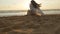 Beautiful young woman sitting on golden sand on sea beach during sunset and calls to himself. Girl relaxing on ocean