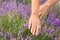 Beautiful young woman touching lavender in field on summer day