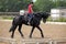 Beautiful young woman trotting black dressage horse