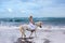 Beautiful young woman walking with horse at the beach, horseback