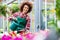 Beautiful young woman watering various potted houseplants for sale