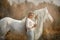 Beautiful young woman with white tinker cob in an autumn