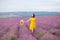 Beautiful young woman in yellow dress running happy in violet flower lavander field