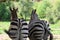 Beautiful zebras wild animals herbivores fast stripes