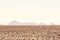 Beautiful zoom view of the Namibian Desert and mountains in the background