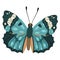 Beautifull blue butterfly. Cartoon animal.