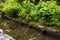 Beautifull canal and plants of Bruges, Belgium