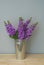 Beautifull Floral Background. Mathiola Purple Flowers Spring, Easter or Gardening Concept. Gray Wall. Flowers in the Warmth.