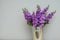 Beautifull Floral Background. Mathiola Purple Flowers Spring, Easter or Gardening Concept. Gray Wall. Flowers in the Warmth.