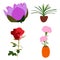 Beautifull Flower Realistic Vector Art