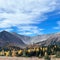 Beautifull Forest view of Peter Lougheed provincial Park