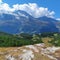 A Beautifull Greeny Forest and Mountains