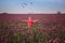 Beautifull happy woman with long hair in red dress lonely walking in the Lilac Poppy Flowers field