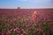 Beautifull happy woman with long hair in red dress lonely walking in the Lilac Poppy Flowers field