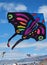 Beautifull kite at New Brighton Beach, Christchurch, New Zealand
