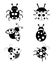 Beautifull Ladybugs isolated on white background
