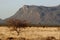 Beautifull landscape in the desert of Samburu & Shaba Nationalpar